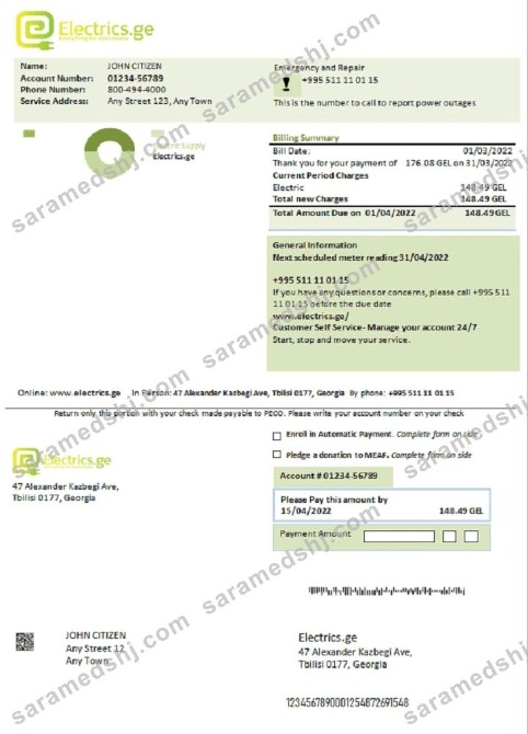Georgia Electrics.ge electricity bill